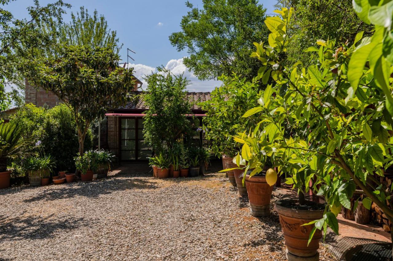 Vila Casa Vignacce Marciano della Chiana Exteriér fotografie