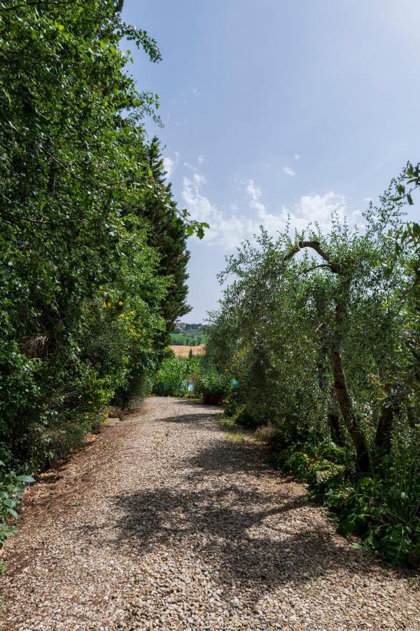 Vila Casa Vignacce Marciano della Chiana Exteriér fotografie