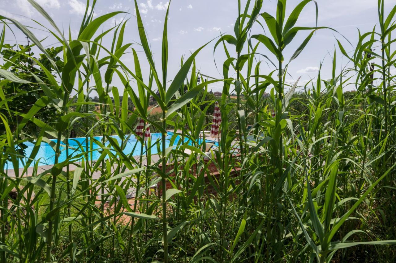 Vila Casa Vignacce Marciano della Chiana Exteriér fotografie